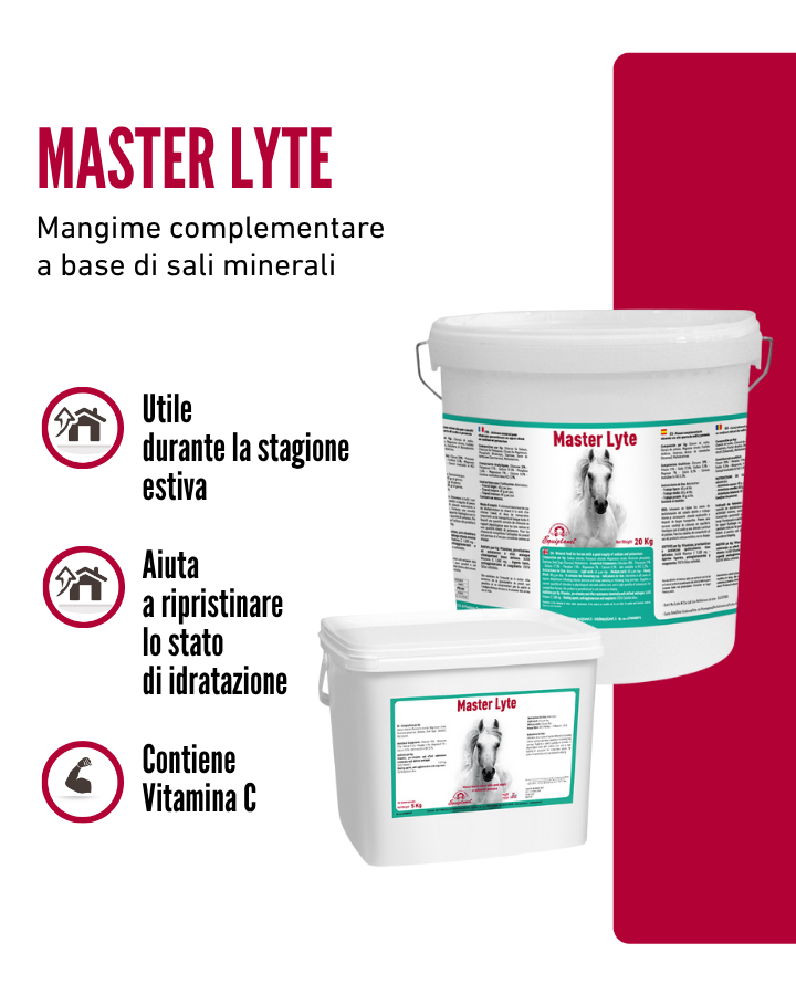 Master Lyte